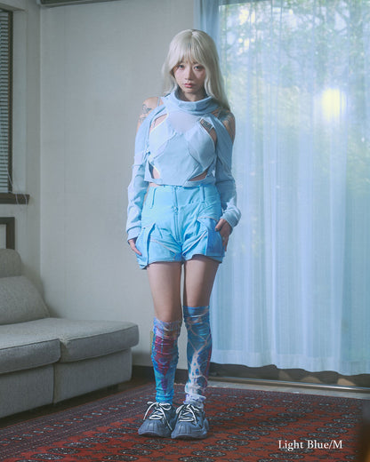 PRE-Mistral Layer Top